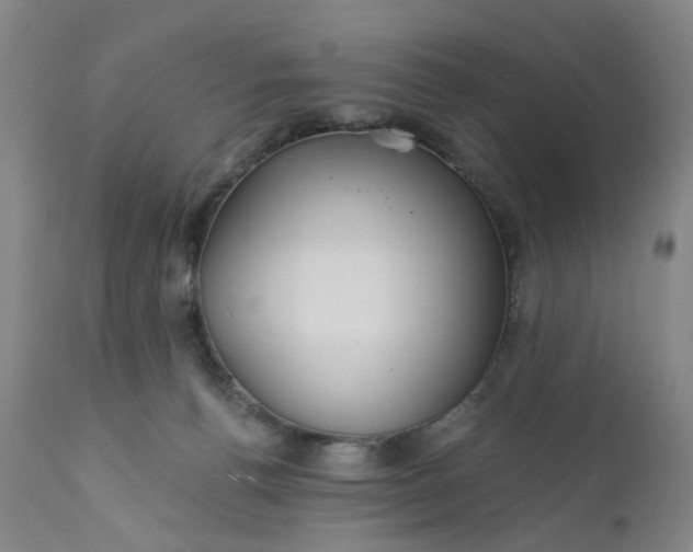 X0000112160176200908281413