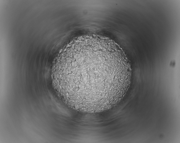 X0000112160177200908281413