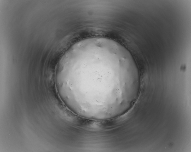 X0000112160178200908281413