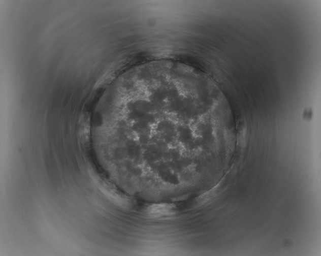X0000112160179200908281413