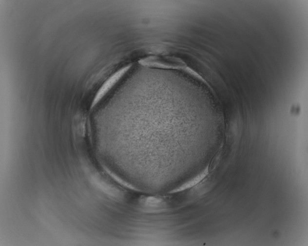 X0000112160180200908281413