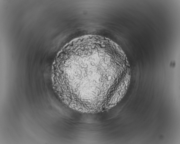 X0000112160181200908281413