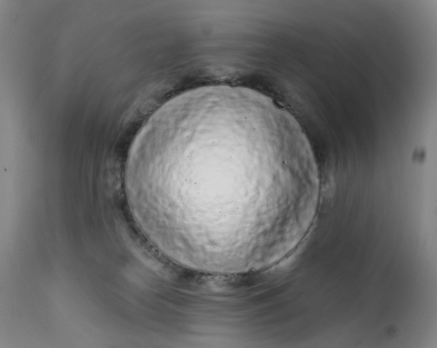 X0000112160182200908281413