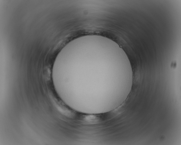X0000112160183200908281413