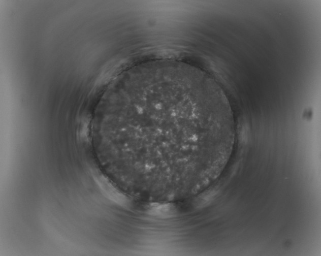 X0000112160185200908281413