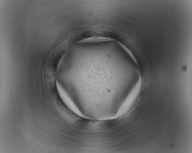 X0000112160186200908281413
