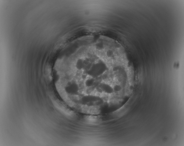 X0000112160187200908281413