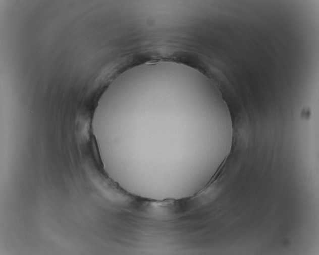 X0000112160188200908281413
