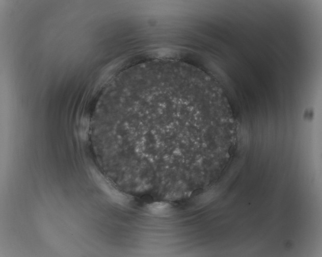 X0000112160189200908281413