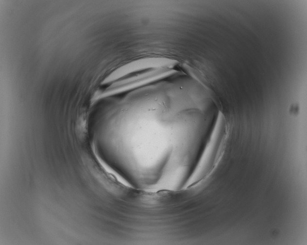 X0000112160190200908281413
