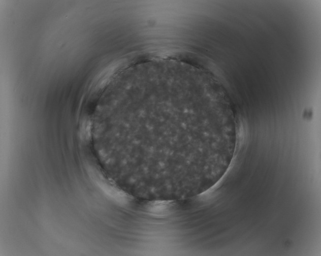 X0000112160191200908281413