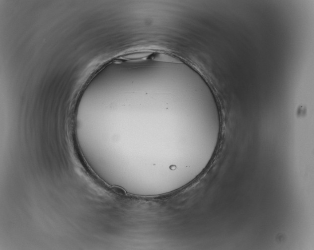 X0000112160193200908281412