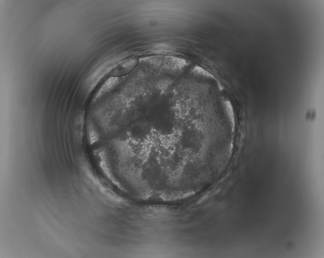 X0000112160194200908281412