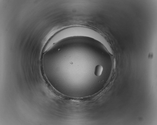 X0000112160195200908281412