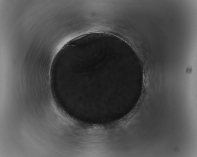 X0000112160196200908281412
