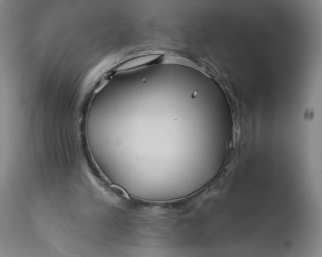 X0000112160197200908281412