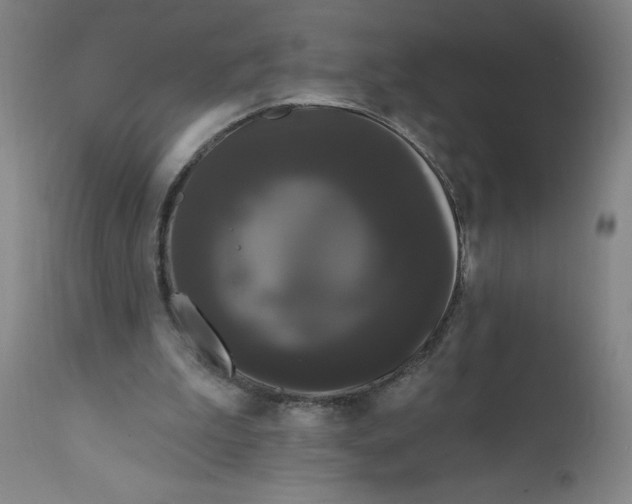 X0000112160199200908281412