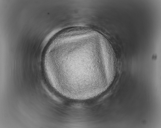 X0000112160200200908281412