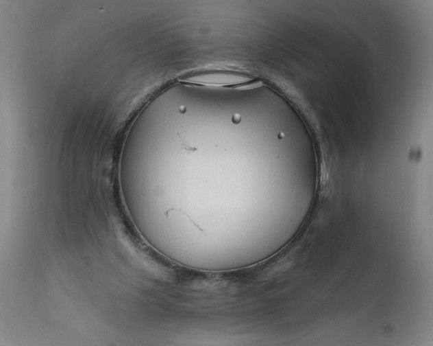 X0000112160201200908281412