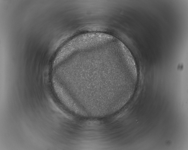 X0000112160202200908281412