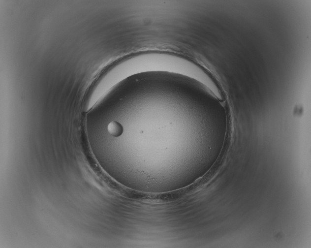 X0000112160203200908281412