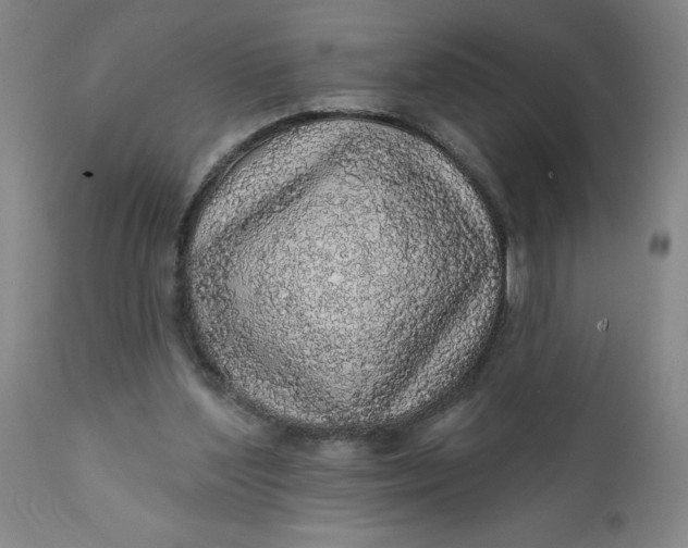 X0000112160204200908281412