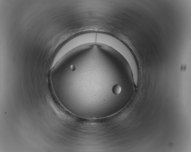 X0000112160205200908281412