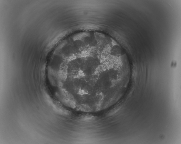 X0000112160206200908281412