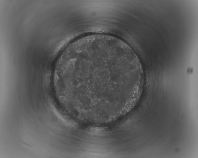 X0000112160208200908281412