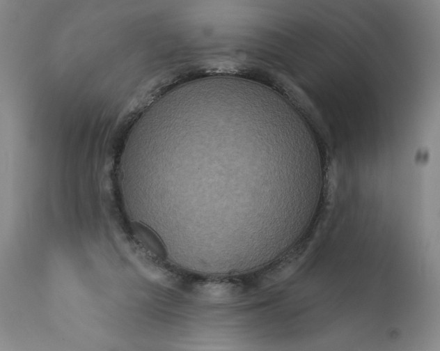 X0000112160209200908281412