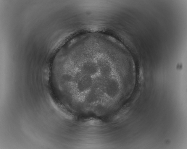 X0000112160210200908281412