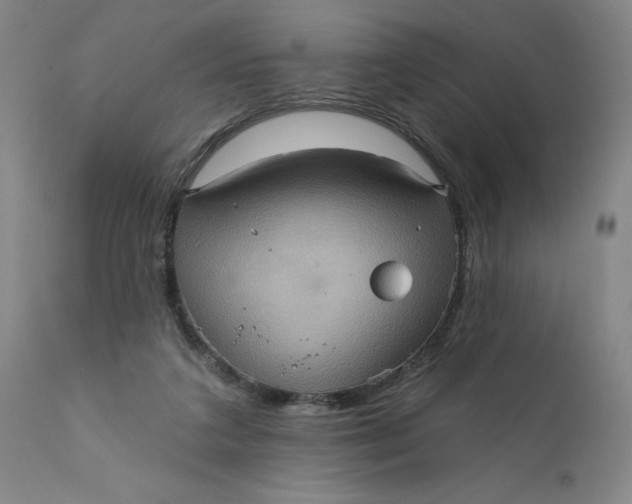 X0000112160211200908281412