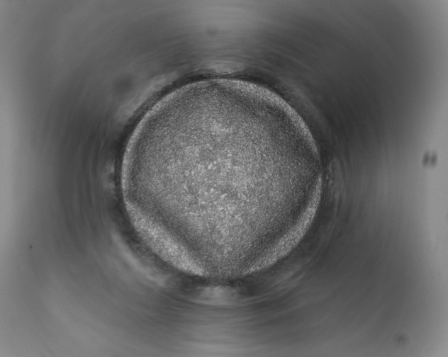 X0000112160212200908281412