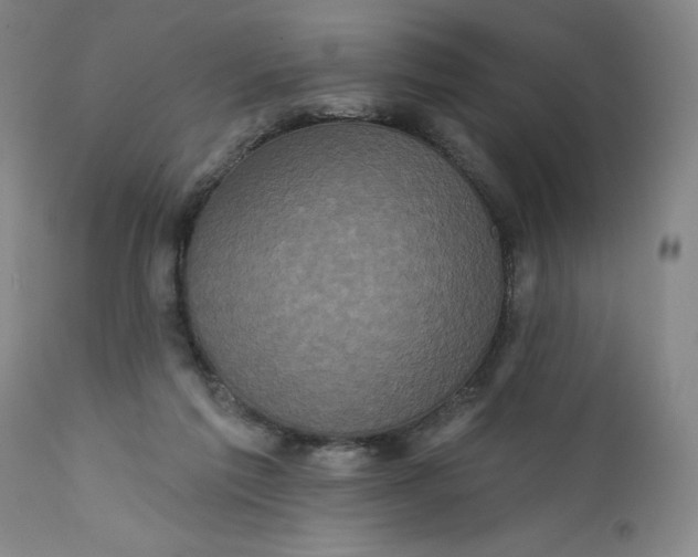 X0000112160213200908281412