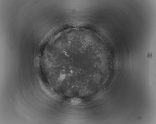 X0000112160214200908281412