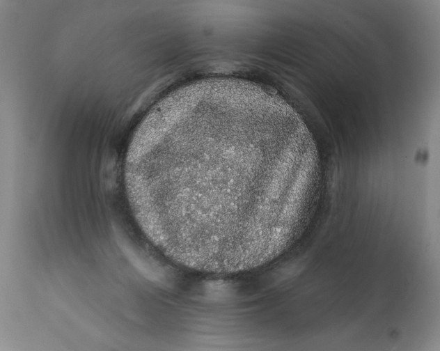 X0000112160216200908281412