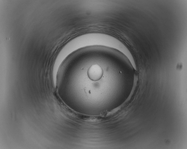 X0000112160217200908281412