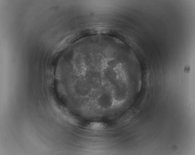 X0000112160218200908281412