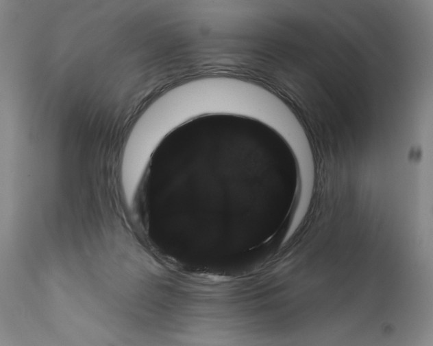 X0000112160219200908281412