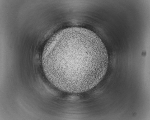 X0000112160220200908281412