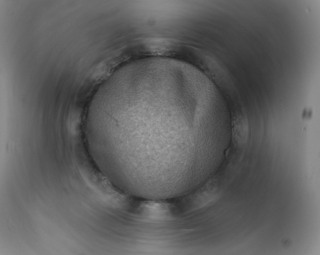 X0000112160221200908281412
