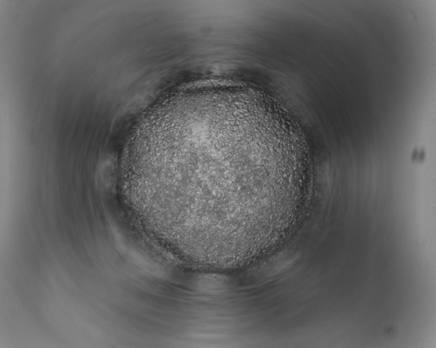 X0000112160222200908281412