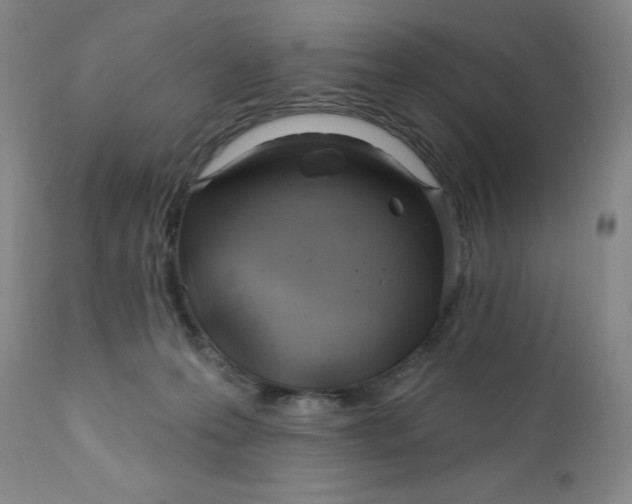 X0000112160223200908281412