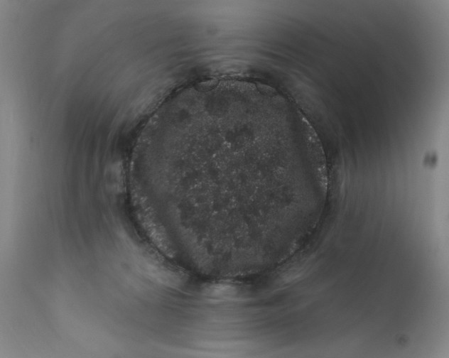 X0000112160224200908281412