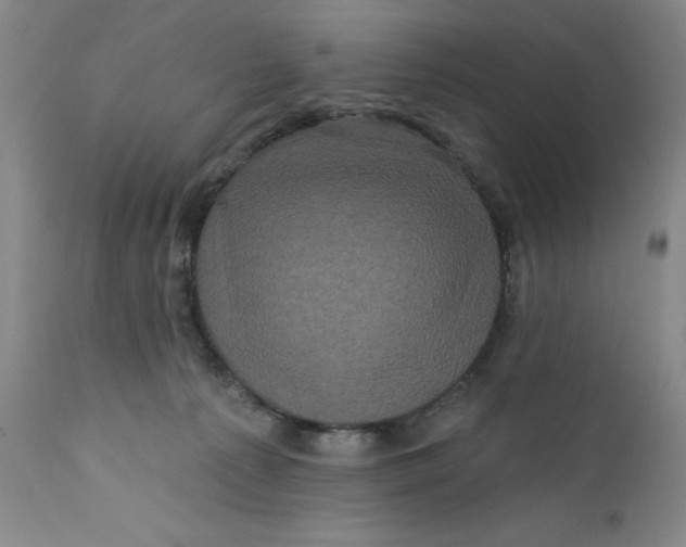 X0000112160225200908281412