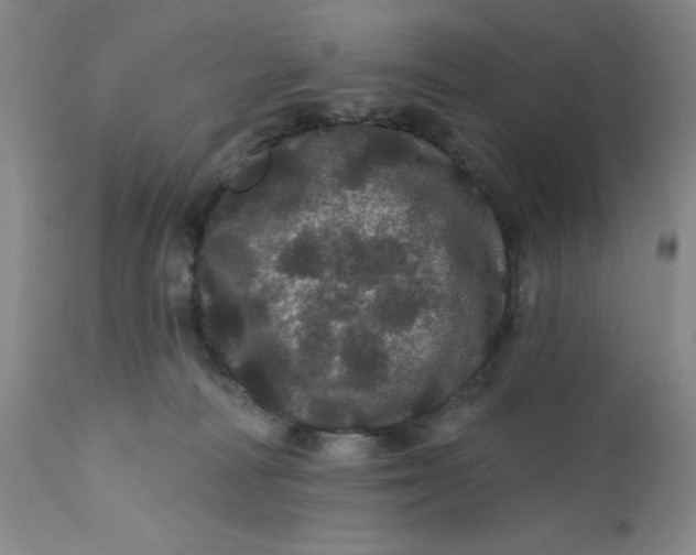 X0000112160226200908281412