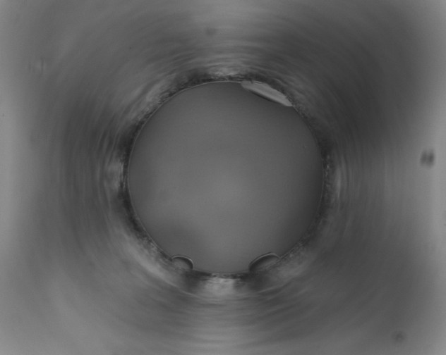 X0000112160227200908281412