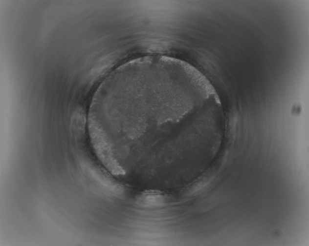 X0000112160228200908281412