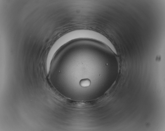 X0000112160229200908281412