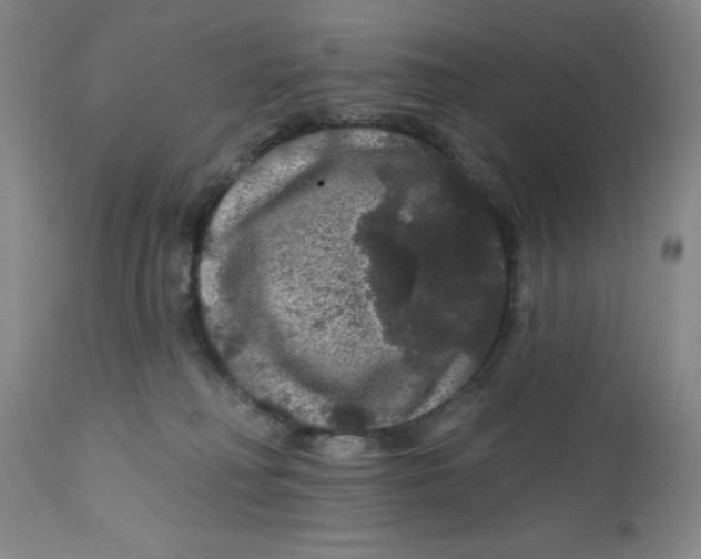 X0000112160230200908281412